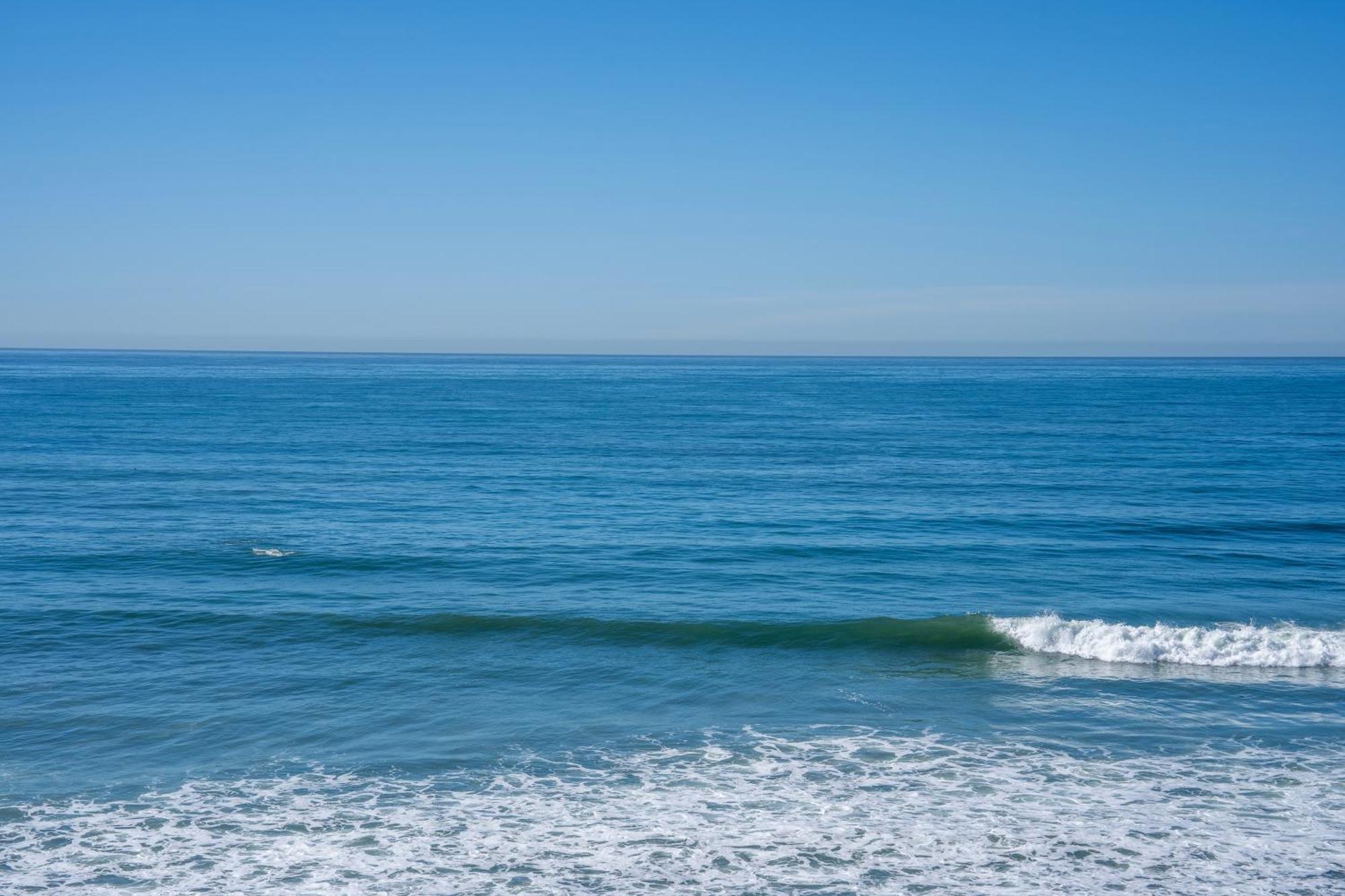 Beachfront Breathtaking 1 Bedroom Apt Tijuana Exterior photo